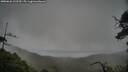 ./images/calvert/fitz-hugh-hecate/20250626/fitz-hugh-hecate20250626_122510M.jpg