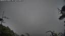 ./images/calvert/fitz-hugh-hecate/20250626/fitz-hugh-hecate20250626_123011M.jpg