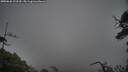 ./images/calvert/fitz-hugh-hecate/20250626/fitz-hugh-hecate20250626_123510M.jpg