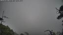 ./images/calvert/fitz-hugh-hecate/20250626/fitz-hugh-hecate20250626_125007M.jpg