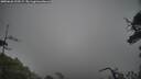 ./images/calvert/fitz-hugh-hecate/20250626/fitz-hugh-hecate20250626_125509M.jpg