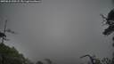 ./images/calvert/fitz-hugh-hecate/20250626/fitz-hugh-hecate20250626_130507M.jpg