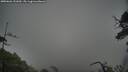 ./images/calvert/fitz-hugh-hecate/20250626/fitz-hugh-hecate20250626_131010M.jpg