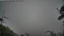 ./images/calvert/fitz-hugh-hecate/20250626/fitz-hugh-hecate20250626_131510M.jpg