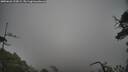 ./images/calvert/fitz-hugh-hecate/20250626/fitz-hugh-hecate20250626_133009M.jpg