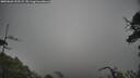 ./images/calvert/fitz-hugh-hecate/20250626/fitz-hugh-hecate20250626_133509M.jpg