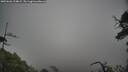 ./images/calvert/fitz-hugh-hecate/20250626/fitz-hugh-hecate20250626_134009M.jpg