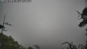 ./images/calvert/fitz-hugh-hecate/20250626/fitz-hugh-hecate20250626_134510M.jpg