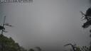 ./images/calvert/fitz-hugh-hecate/20250626/fitz-hugh-hecate20250626_135509M.jpg