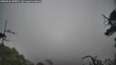 ./images/calvert/fitz-hugh-hecate/20250626/fitz-hugh-hecate20250626_140010M.jpg