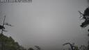 ./images/calvert/fitz-hugh-hecate/20250626/fitz-hugh-hecate20250626_140510M.jpg