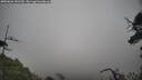 ./images/calvert/fitz-hugh-hecate/20250626/fitz-hugh-hecate20250626_141509M.jpg