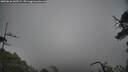 ./images/calvert/fitz-hugh-hecate/20250626/fitz-hugh-hecate20250626_142509M.jpg