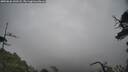 ./images/calvert/fitz-hugh-hecate/20250626/fitz-hugh-hecate20250626_143508M.jpg