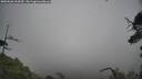 ./images/calvert/fitz-hugh-hecate/20250626/fitz-hugh-hecate20250626_144510M.jpg