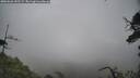 ./images/calvert/fitz-hugh-hecate/20250626/fitz-hugh-hecate20250626_145509M.jpg
