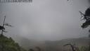 ./images/calvert/fitz-hugh-hecate/20250626/fitz-hugh-hecate20250626_150509M.jpg
