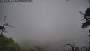 ./images/calvert/fitz-hugh-hecate/20250626/fitz-hugh-hecate20250626_151510M.jpg