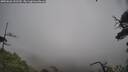 ./images/calvert/fitz-hugh-hecate/20250626/fitz-hugh-hecate20250626_152510M.jpg