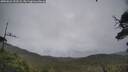 ./images/calvert/fitz-hugh-hecate/20250626/fitz-hugh-hecate20250626_153508M.jpg