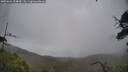 ./images/calvert/fitz-hugh-hecate/20250626/fitz-hugh-hecate20250626_154010M.jpg