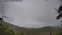 ./images/calvert/fitz-hugh-hecate/20250626/fitz-hugh-hecate20250626_154510M.jpg
