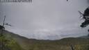 ./images/calvert/fitz-hugh-hecate/20250626/fitz-hugh-hecate20250626_155508M.jpg