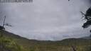 ./images/calvert/fitz-hugh-hecate/20250626/fitz-hugh-hecate20250626_160012M.jpg