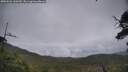 ./images/calvert/fitz-hugh-hecate/20250626/fitz-hugh-hecate20250626_160510M.jpg