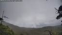 ./images/calvert/fitz-hugh-hecate/20250626/fitz-hugh-hecate20250626_161510M.jpg