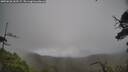 ./images/calvert/fitz-hugh-hecate/20250626/fitz-hugh-hecate20250626_162507M.jpg