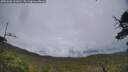 ./images/calvert/fitz-hugh-hecate/20250626/fitz-hugh-hecate20250626_163010M.jpg