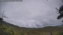 ./images/calvert/fitz-hugh-hecate/20250626/fitz-hugh-hecate20250626_163510M.jpg