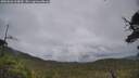 ./images/calvert/fitz-hugh-hecate/20250626/fitz-hugh-hecate20250626_164010M.jpg