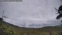 ./images/calvert/fitz-hugh-hecate/20250626/fitz-hugh-hecate20250626_164511M.jpg