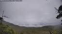 ./images/calvert/fitz-hugh-hecate/20250626/fitz-hugh-hecate20250626_165508M.jpg