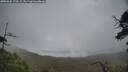 ./images/calvert/fitz-hugh-hecate/20250626/fitz-hugh-hecate20250626_170509M.jpg