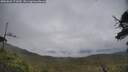 ./images/calvert/fitz-hugh-hecate/20250626/fitz-hugh-hecate20250626_171010M.jpg
