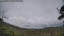 ./images/calvert/fitz-hugh-hecate/20250626/fitz-hugh-hecate20250626_171510M.jpg