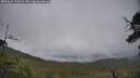 ./images/calvert/fitz-hugh-hecate/20250626/fitz-hugh-hecate20250626_172008M.jpg