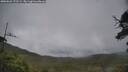 ./images/calvert/fitz-hugh-hecate/20250626/fitz-hugh-hecate20250626_172510M.jpg