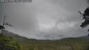 ./images/calvert/fitz-hugh-hecate/20250626/fitz-hugh-hecate20250626_173010M.jpg