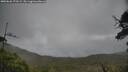 ./images/calvert/fitz-hugh-hecate/20250626/fitz-hugh-hecate20250626_173509M.jpg