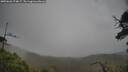./images/calvert/fitz-hugh-hecate/20250626/fitz-hugh-hecate20250626_174007M.jpg