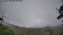 ./images/calvert/fitz-hugh-hecate/20250626/fitz-hugh-hecate20250626_175009M.jpg