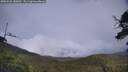 ./images/calvert/fitz-hugh-hecate/20250626/fitz-hugh-hecate20250626_180012M.jpg