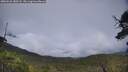 ./images/calvert/fitz-hugh-hecate/20250626/fitz-hugh-hecate20250626_180508M.jpg
