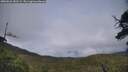 ./images/calvert/fitz-hugh-hecate/20250626/fitz-hugh-hecate20250626_181509M.jpg