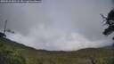 ./images/calvert/fitz-hugh-hecate/20250626/fitz-hugh-hecate20250626_182507M.jpg