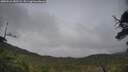 ./images/calvert/fitz-hugh-hecate/20250626/fitz-hugh-hecate20250626_183508M.jpg